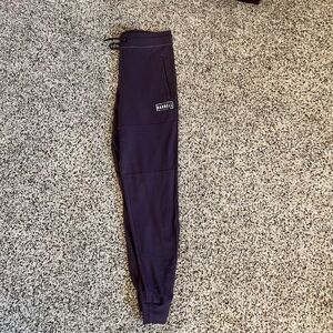 Barbell Apparel Women's Dark Purple Joggers - Medium but fit like Small